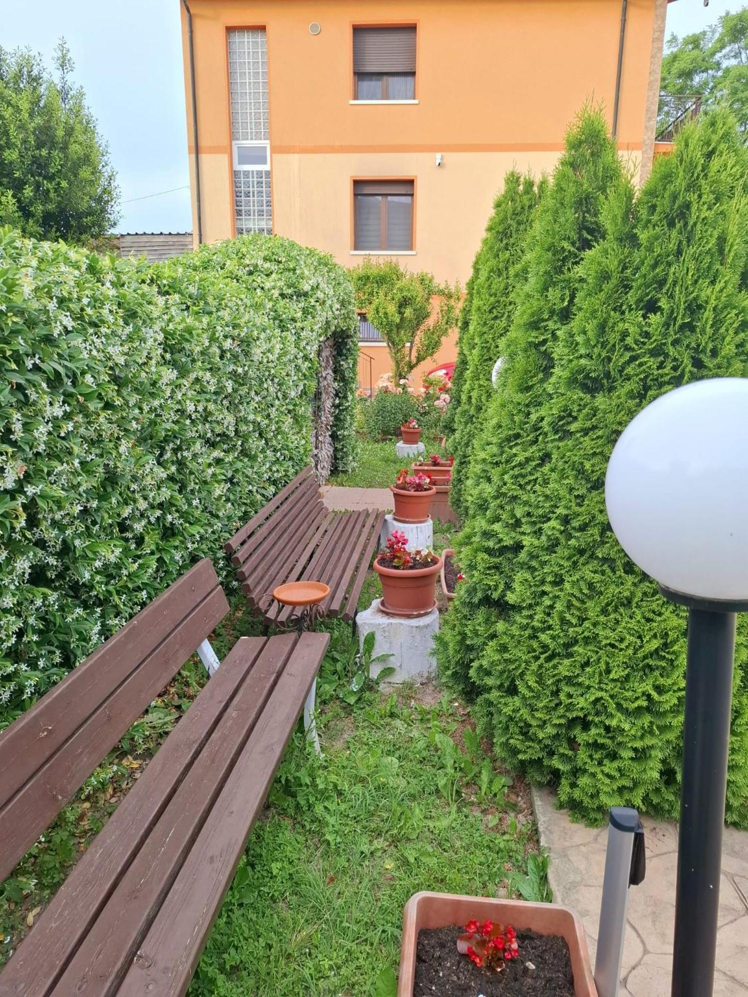 Guest house Fly To Airport View Locazione Turistica *